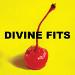 Divine Fits - <i>A Thing Called Divine Fits</i>