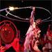 Flaming Lips at Jam on the River
