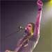 Michael Franti and Spearhead