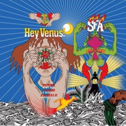 Super Furry Animals - <i>Hey Venus</i>