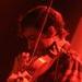 Andrew Bird