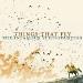 The Infamous Stringdusters - <i>Things That Fly</i>